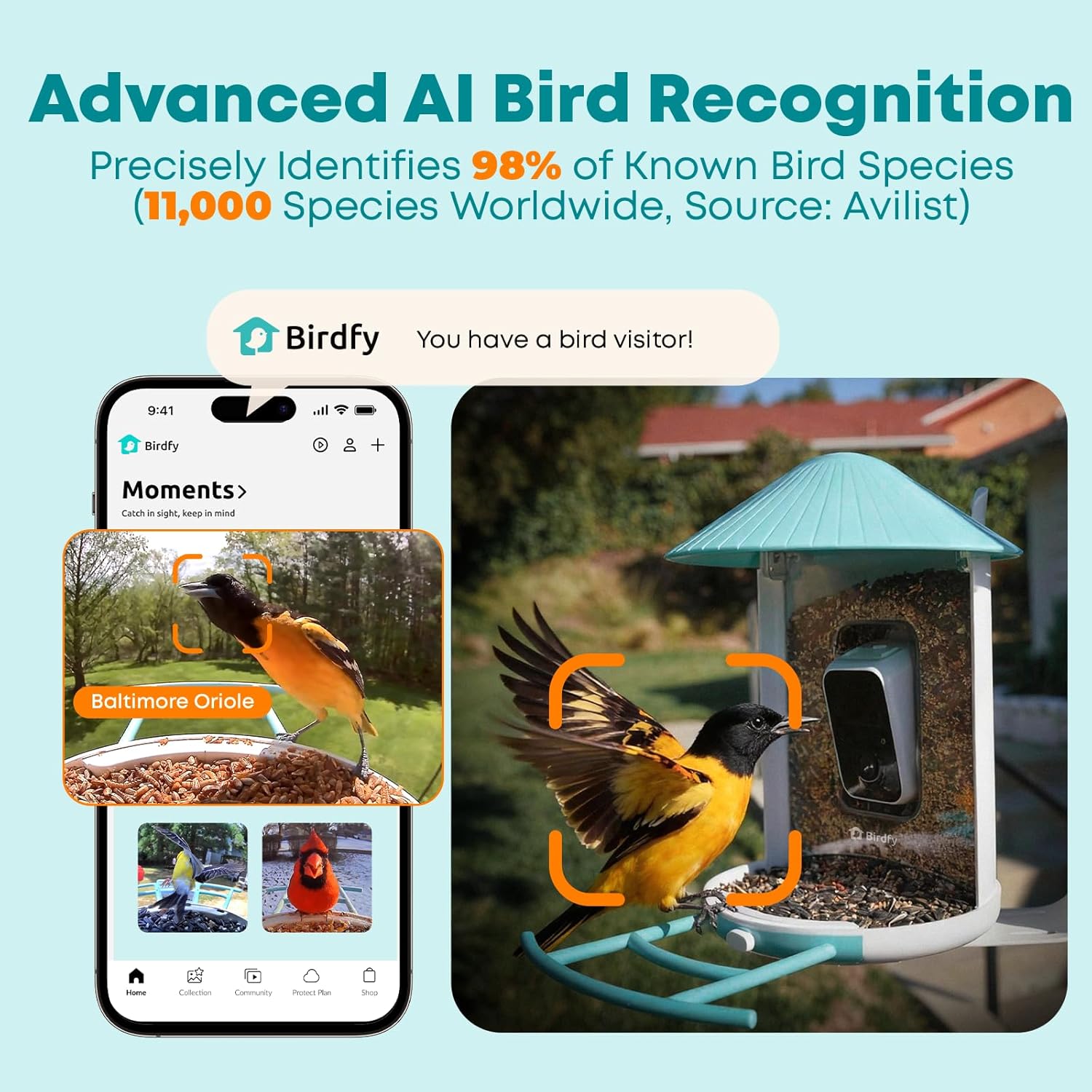 Smart Bird Feeder with AI Came - Watches & Jewelry Lvmh 리뷰 및 가격