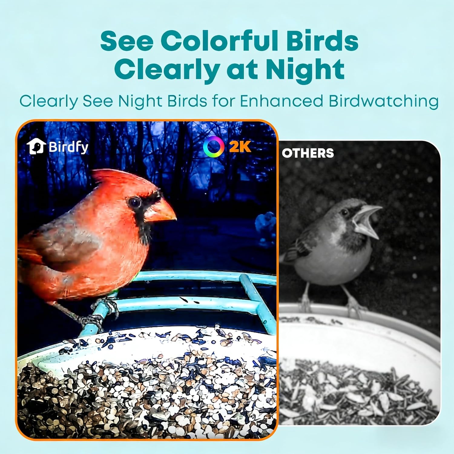 Smart Bird Feeder with AI Came - Watches & Jewelry Lvmh 리뷰 및 가격