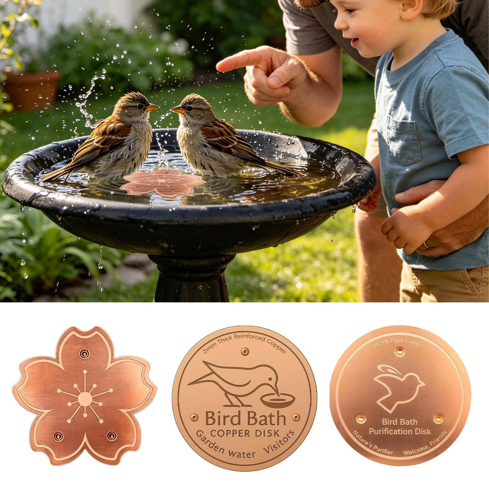 Copper For Bird Bath Safe Puri - Watches & Jewelry Lvmh 리뷰 및 가격