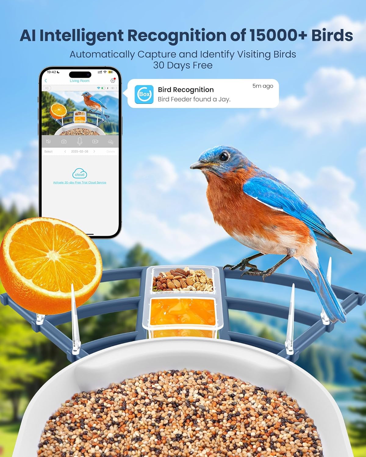 Smart Bird Feeder with Camera, - Watches & Jewelry Lvmh 리뷰 및 가격